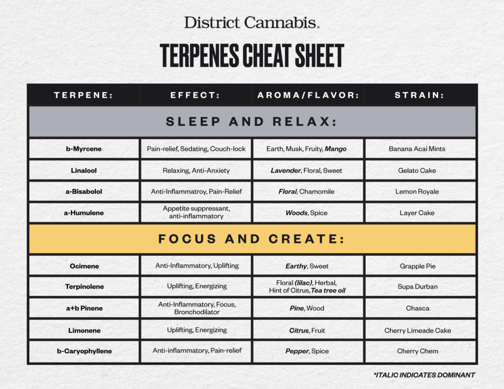 a guide of terpenes, their effects, aromas, and correlating strains